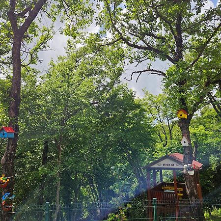 Villa Rada Igalo Zewnętrze zdjęcie