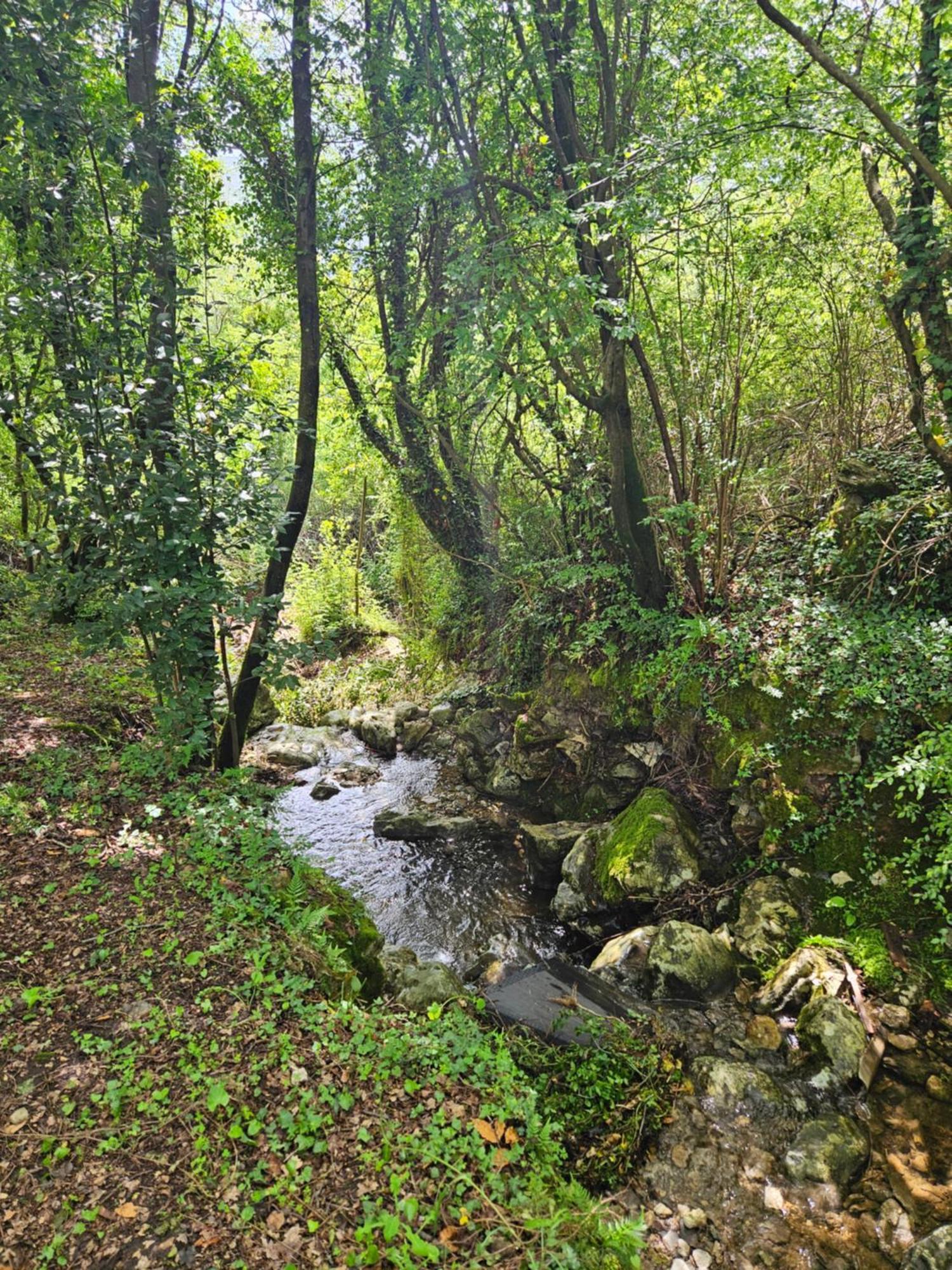 Villa Rada Igalo Zewnętrze zdjęcie