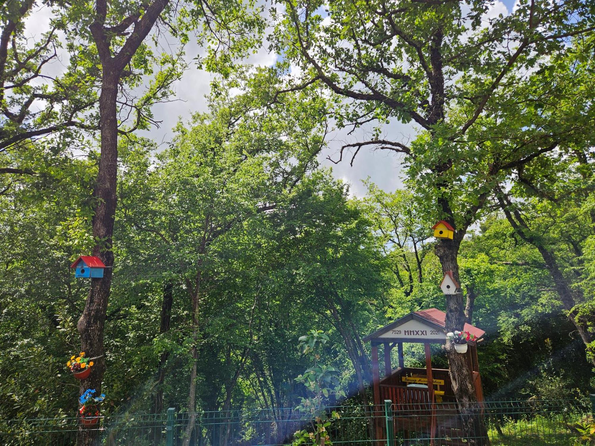 Villa Rada Igalo Zewnętrze zdjęcie